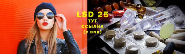 прущие грибы Козловка