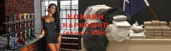 прущий лед Козельск