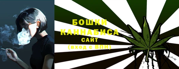 прущие грибы Козловка