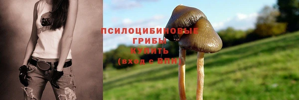 прущий лед Козельск