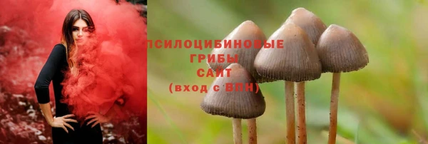 прущий лед Козельск