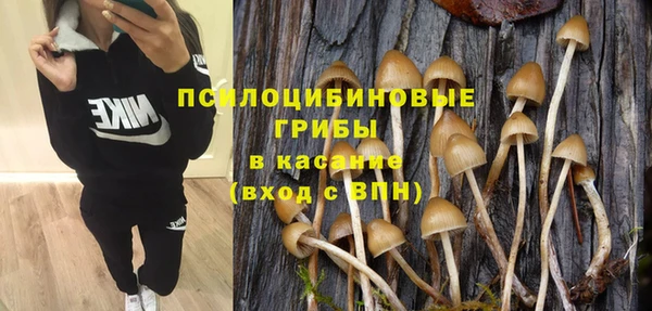 прущий лед Козельск