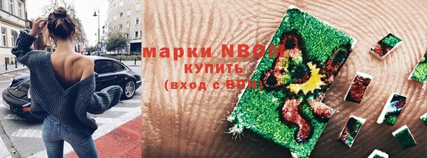 прущие грибы Козловка