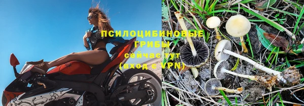 мдма Кодинск