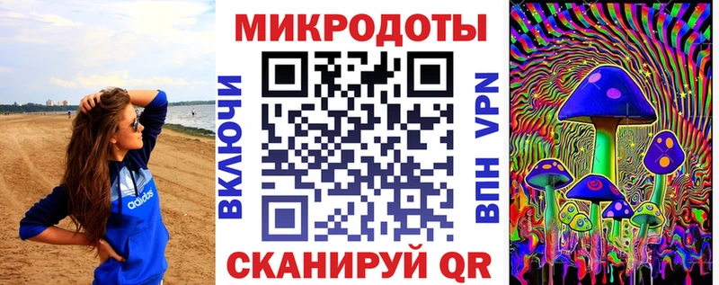 Купить  Игарка  Галлюциногенные грибы Psilocybe 